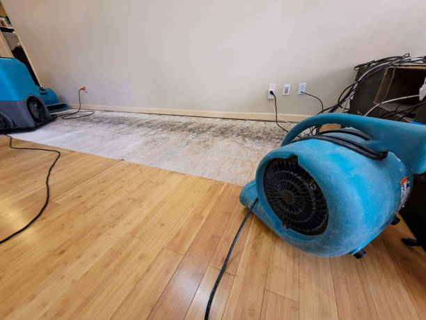 Professional Sewage Cleanup technician working in Glen Gardner, NJ